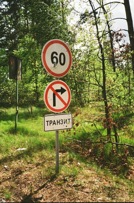 several different signs are arranged in the woods