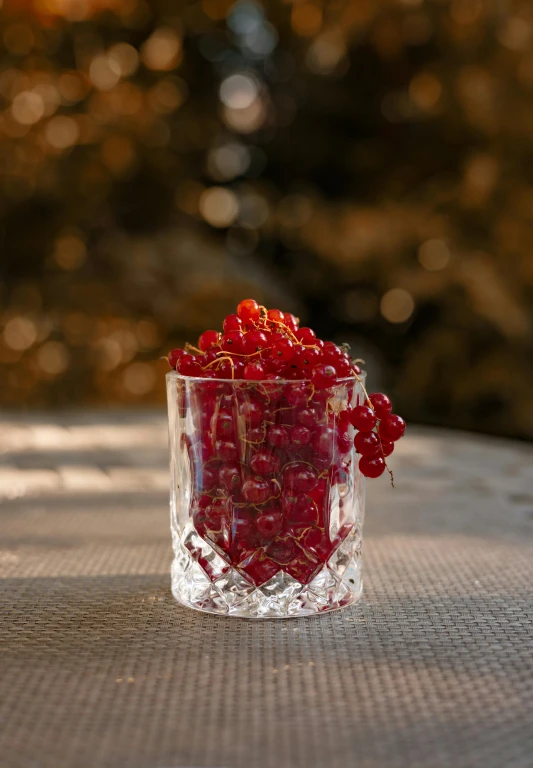 a vase with red berries inside of it