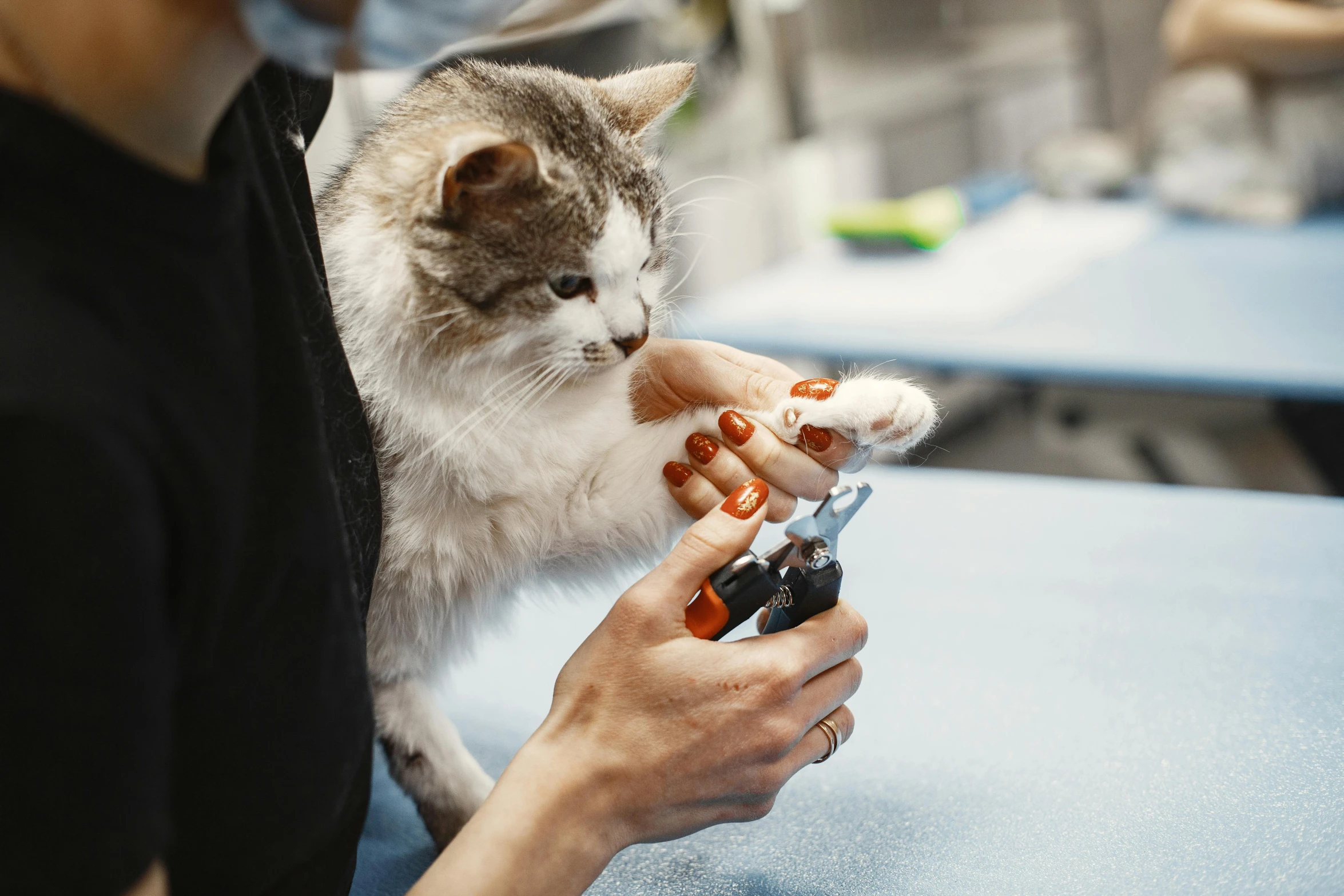 a person holding a cell phone in their hand with a cat sitting next to them