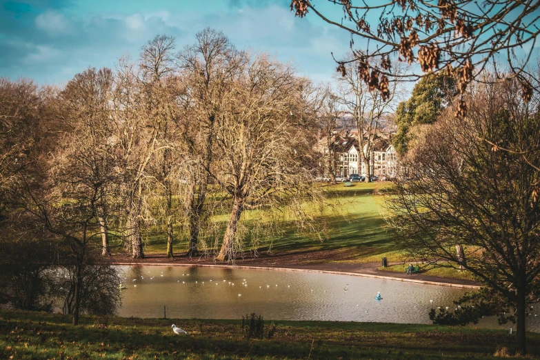 a house and two lakes in a lush park