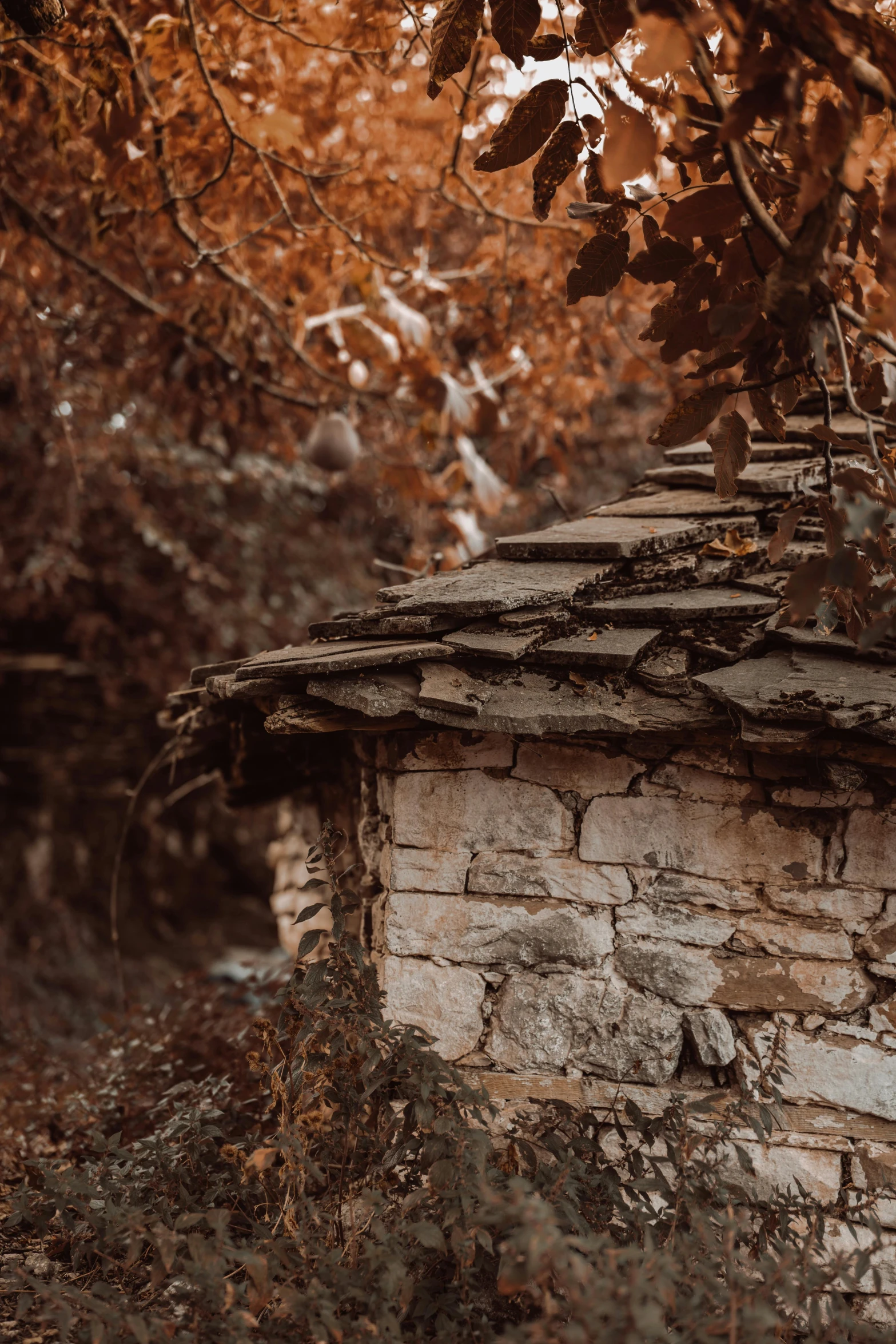 an old building sits in front of fall foliage