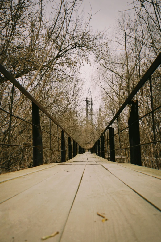 a walkway through the woods with trees behind it