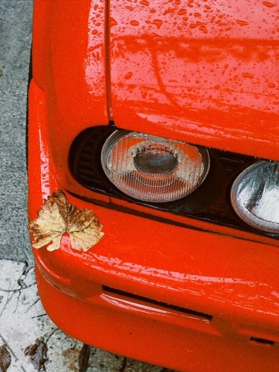 the taillights of an orange car with some brown leaves