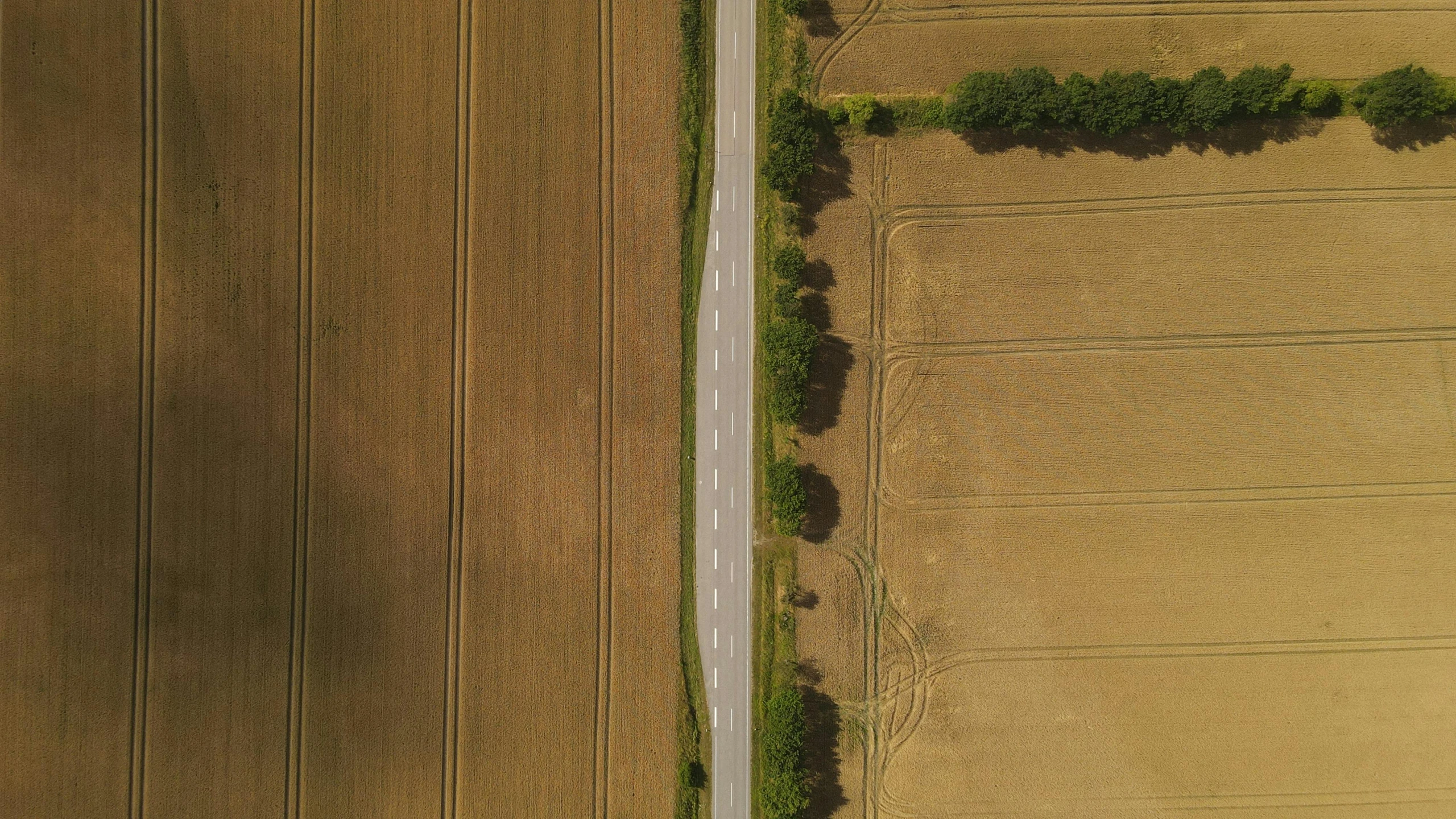 the aerial view of a rural area showing two roads between crops and grass