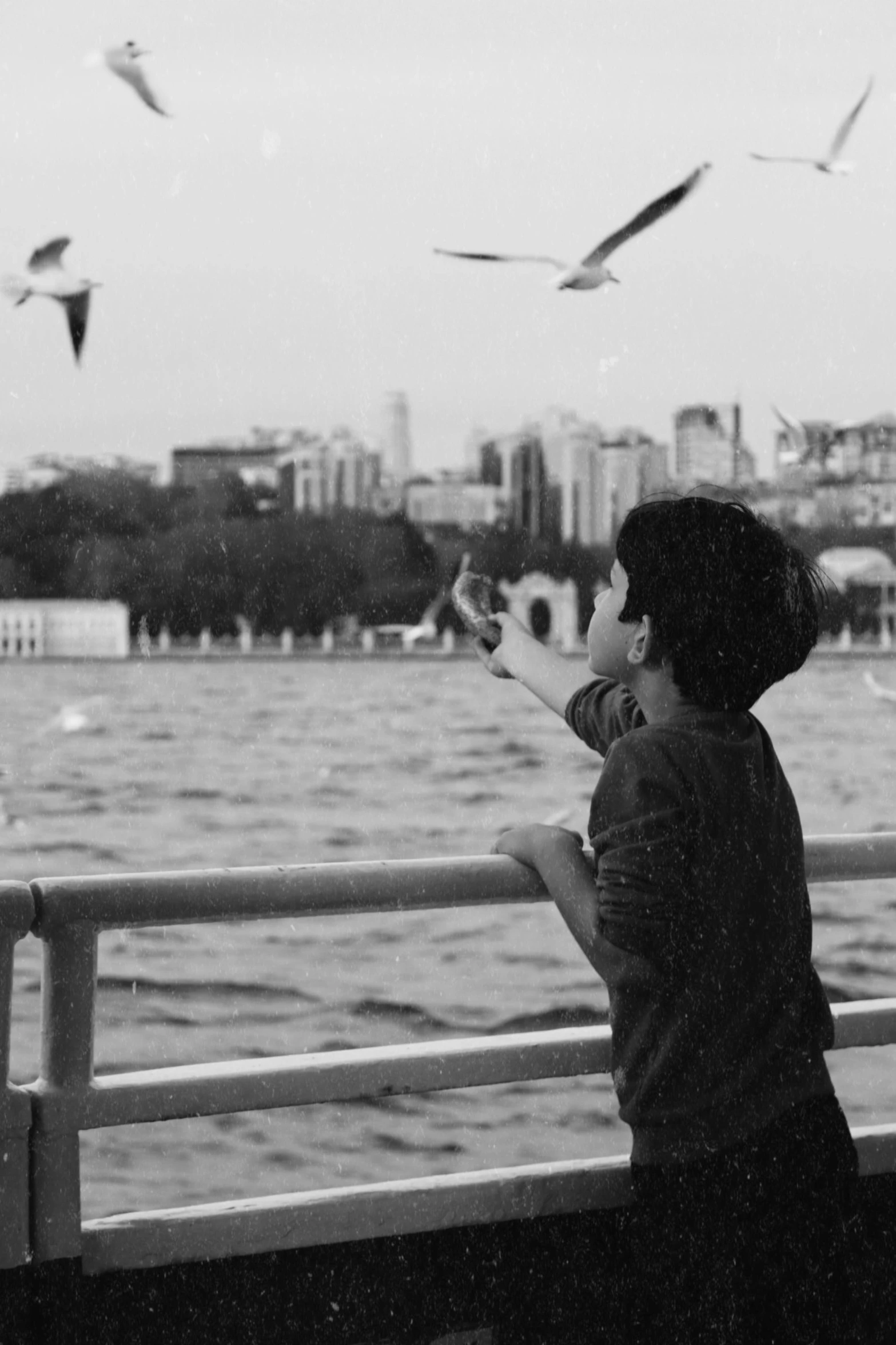 an old picture of a woman watching birds