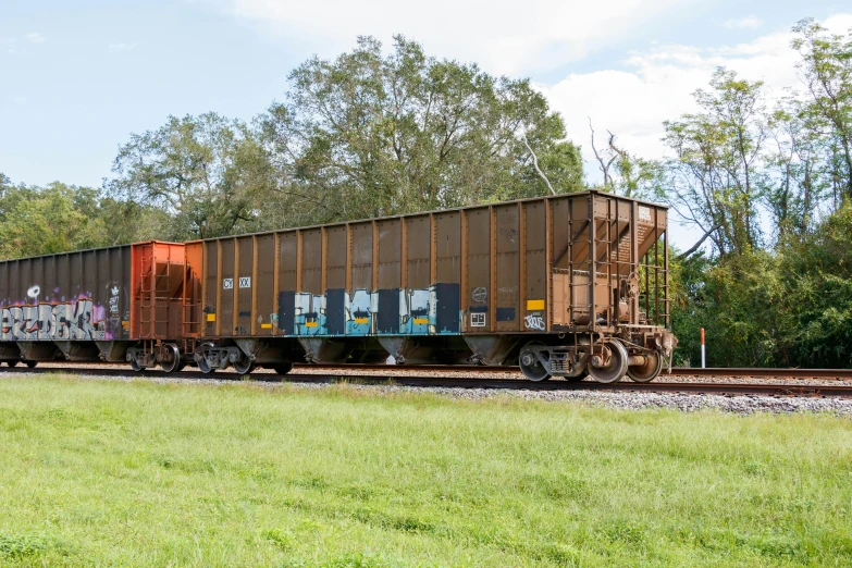 a brown box car on tracks in front of trees