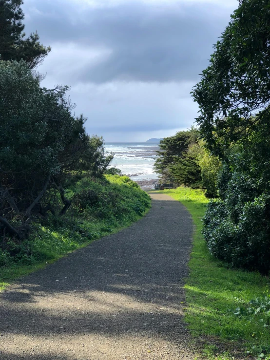 a view of the beach through some trees