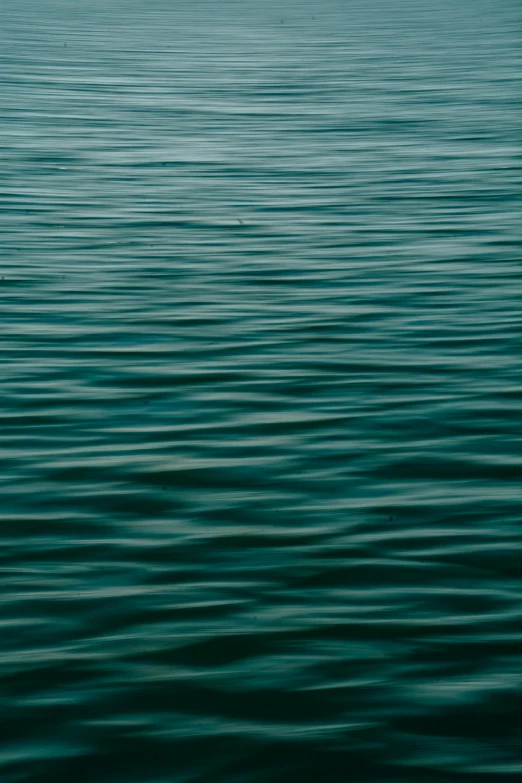 a large body of water with some small waves