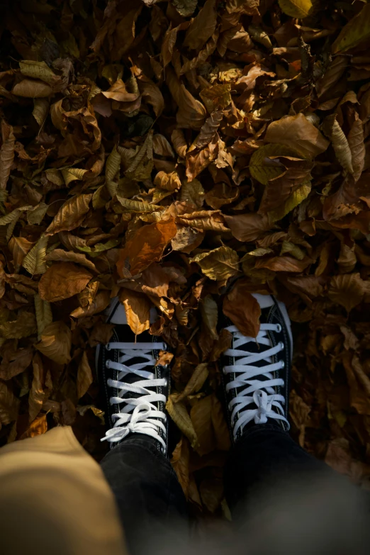 feet with blue shoes on brown leaves