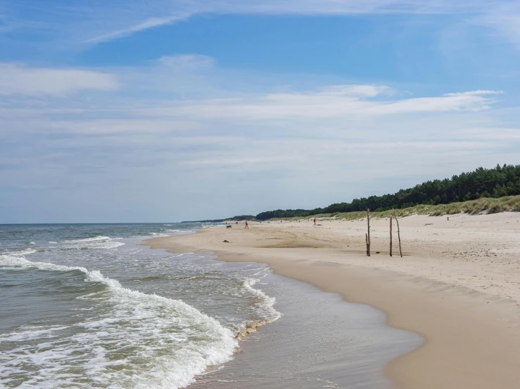 view of a deserted beach and the ocean