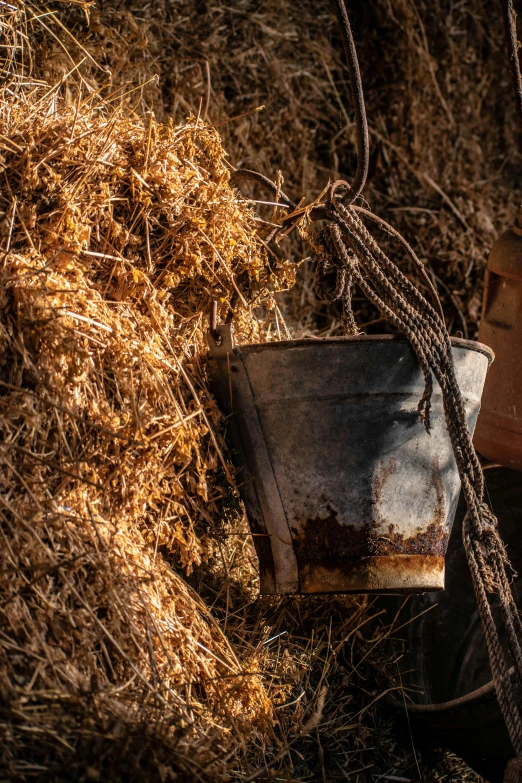 old rusty bucket with rope hanging from it next to a pile of dried grass