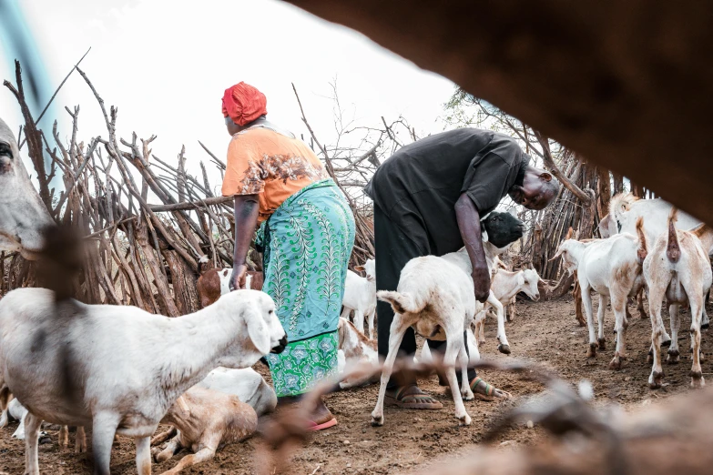 two women stand on the ground near several baby goats