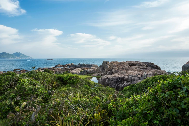 a grassy area with rocks and some water in the background