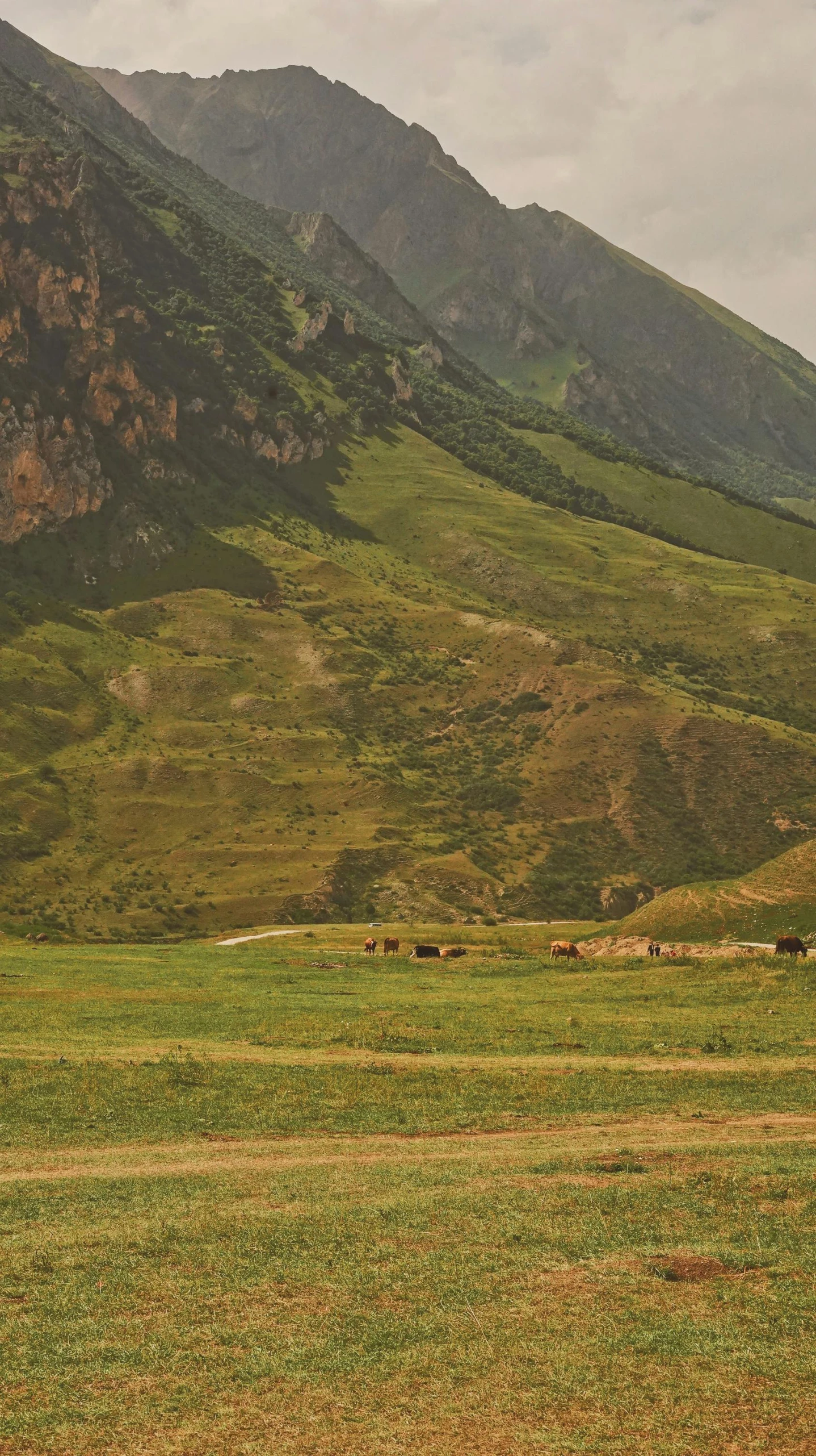 two large hills near a small field with some cows grazing in the foreground