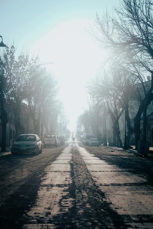 two cars on street in front of building and trees