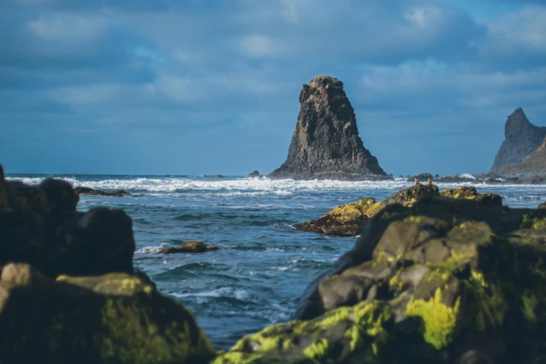 the ocean is full of rocks and green algae