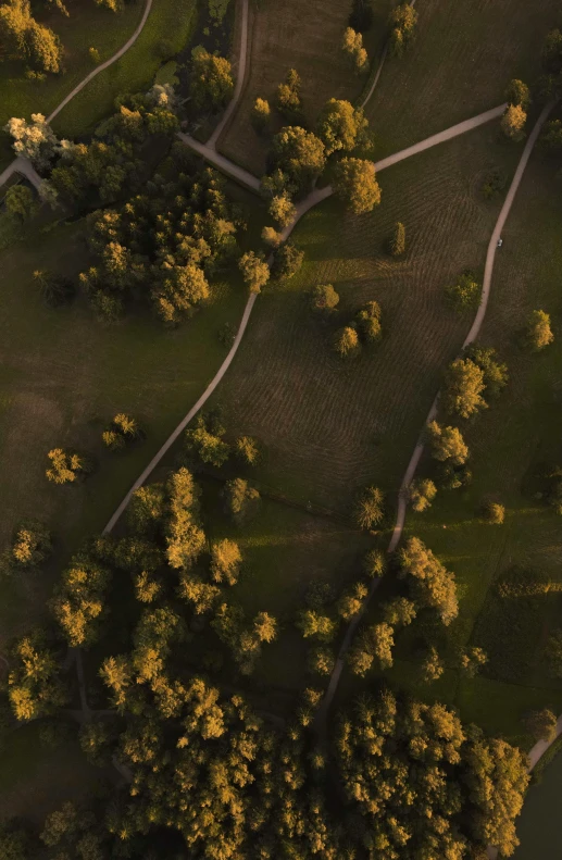 aerial view of green forest on small hill