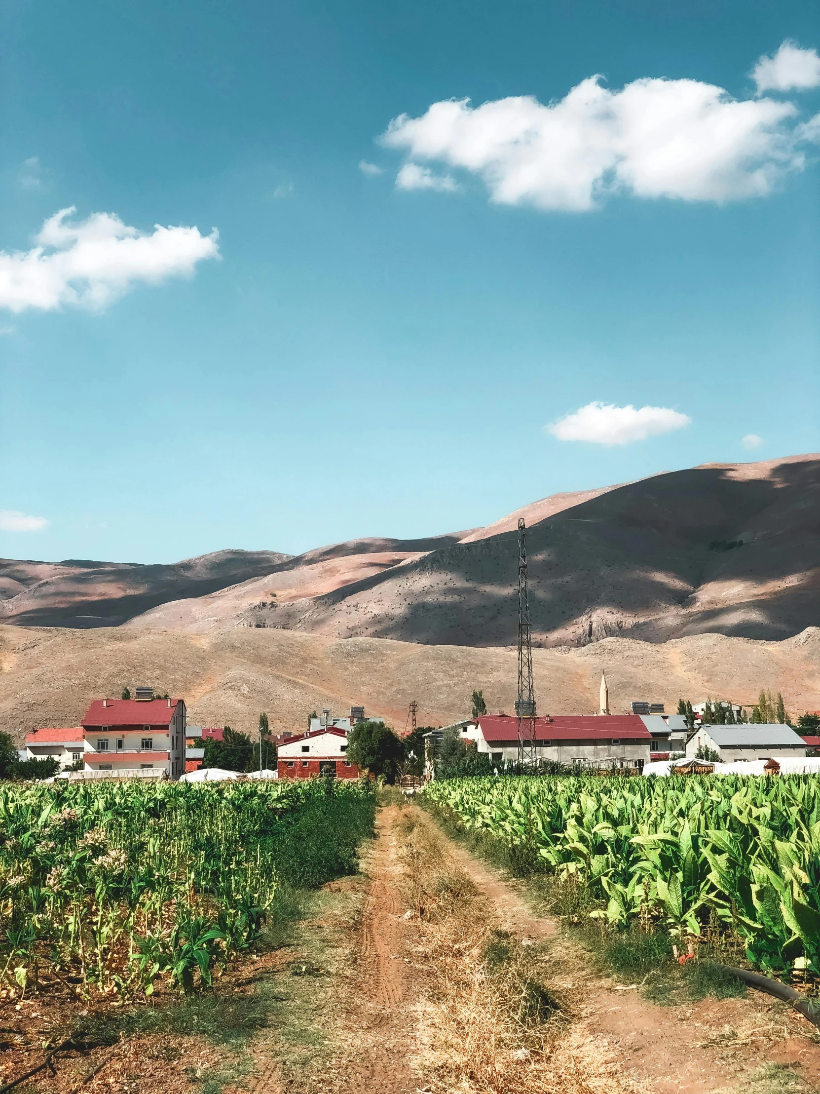 a dirt road with houses, bushes and hills behind it