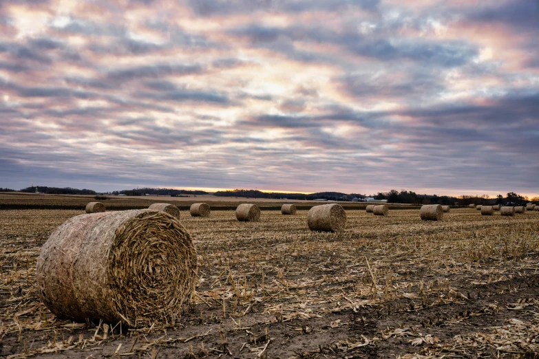 an empty field is shown with bales of hay