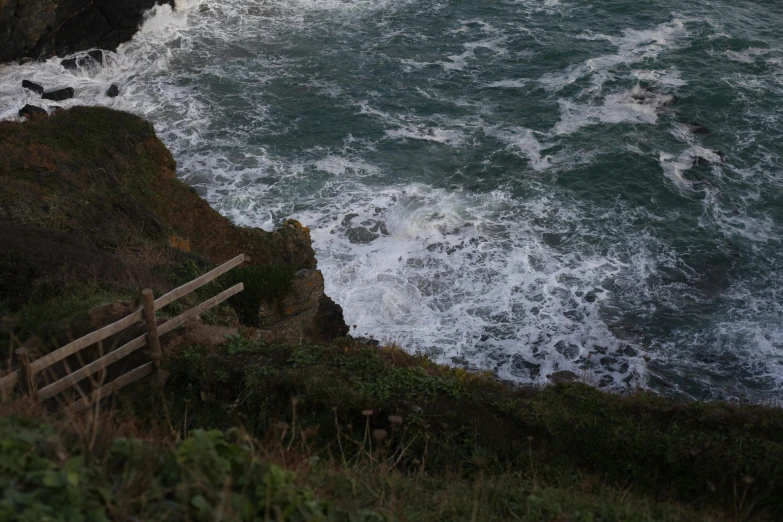 a group of birds on a cliff above the ocean