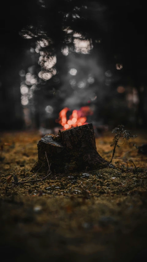 some dirt and grass next to a fire