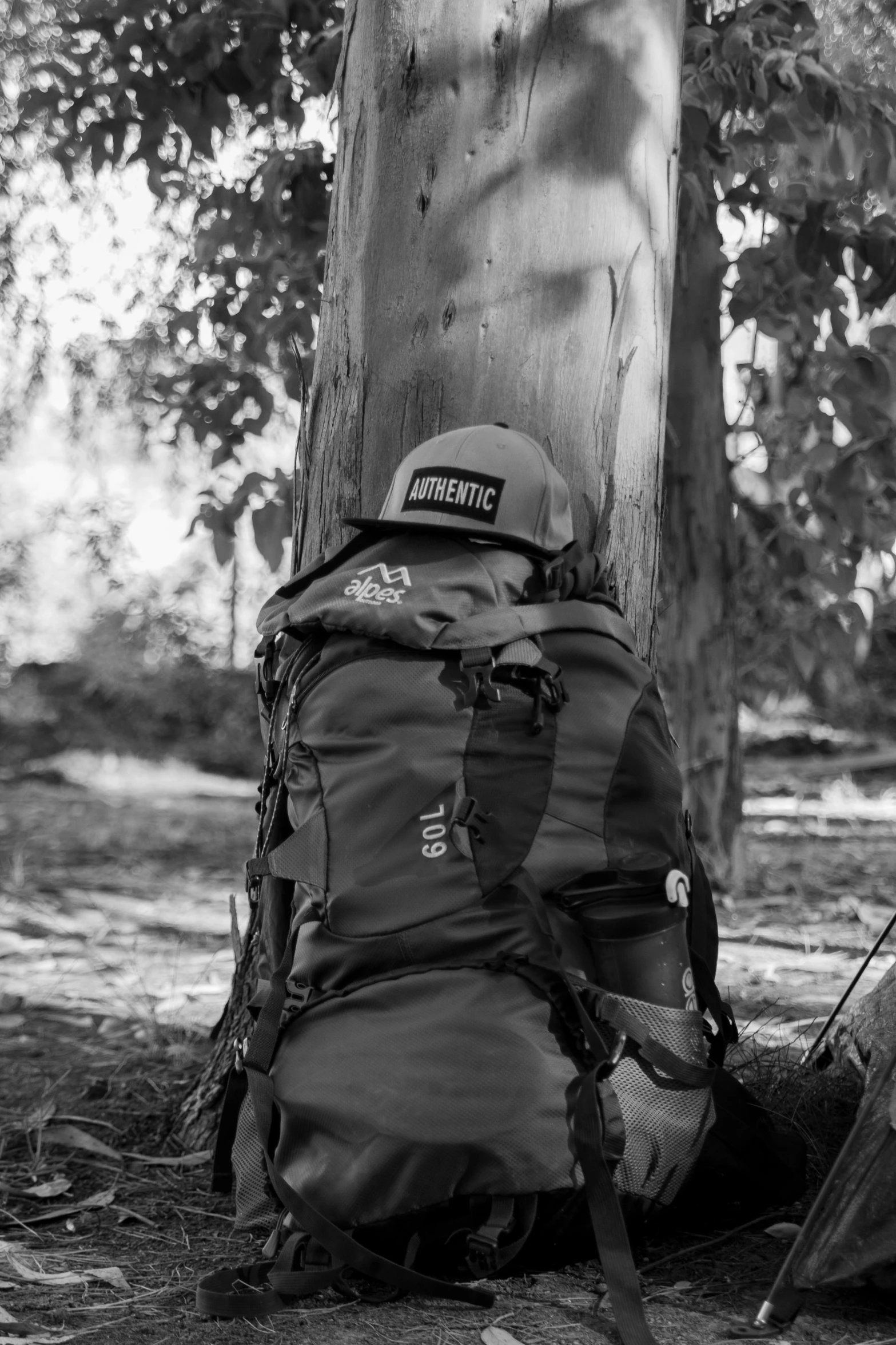 two backpacks that are next to a tree