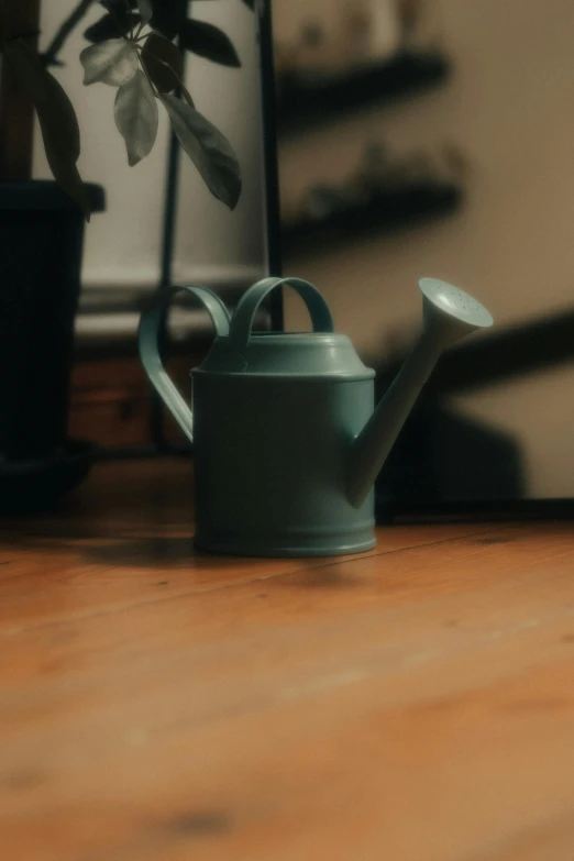 there is a plant on the counter next to a teapot