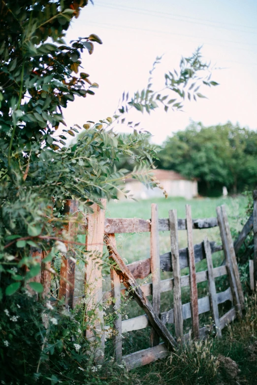 a wooden fence on grass by some bushes