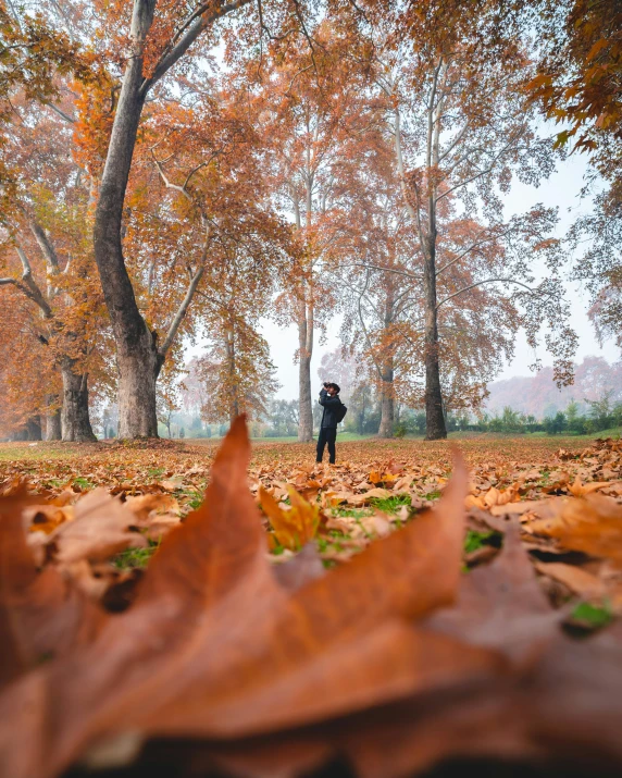 an adult walking through a leaf strewn forest in autumn