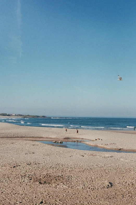 a group of people playing in the water on a beach