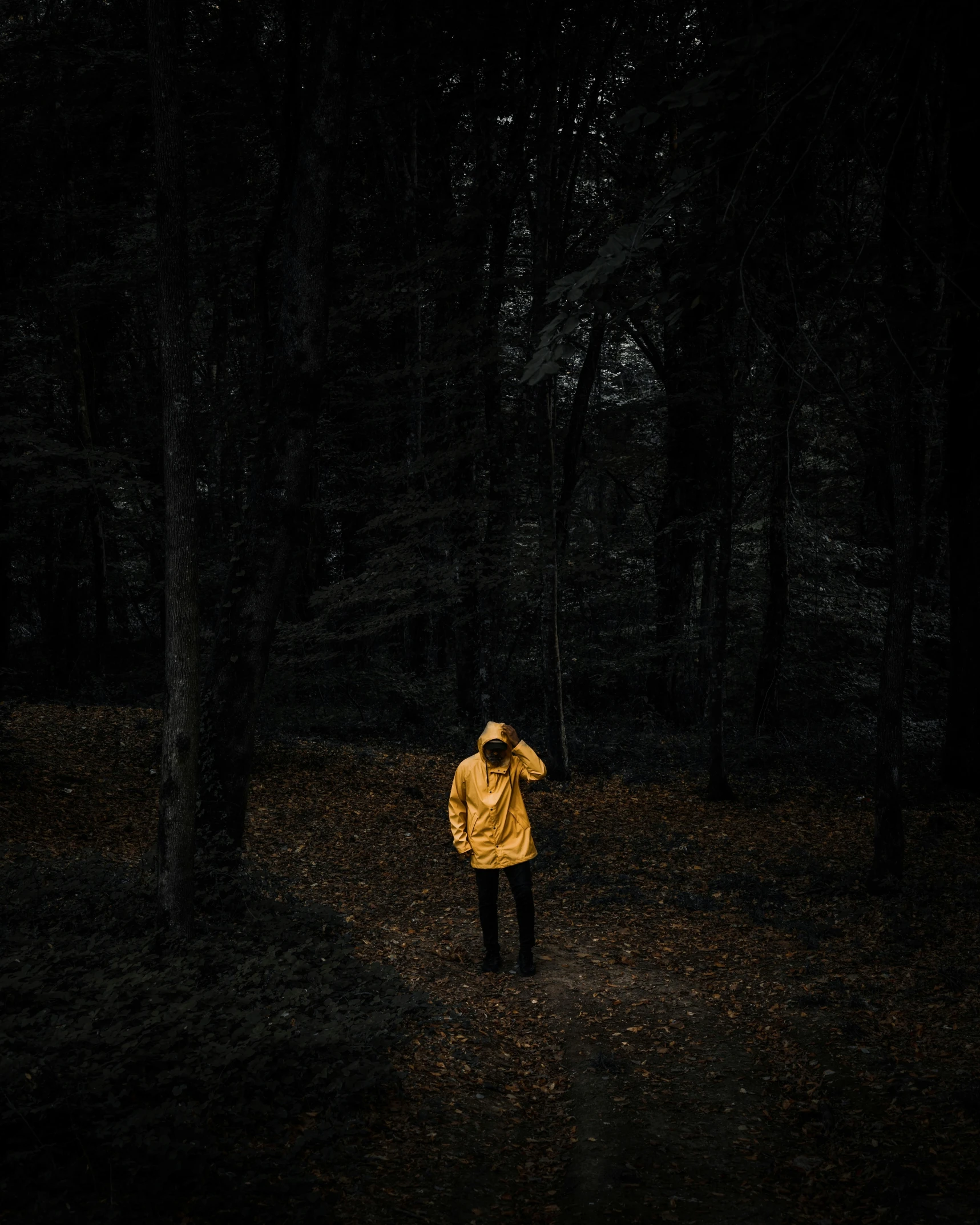 person standing alone in the woods with his back turned away