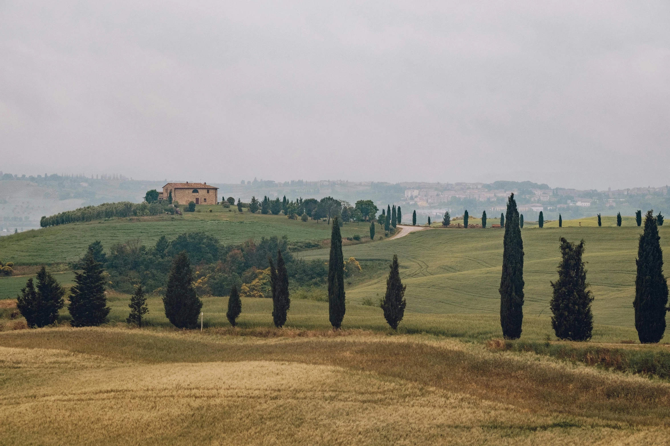 trees, grass and a house on top of a hill