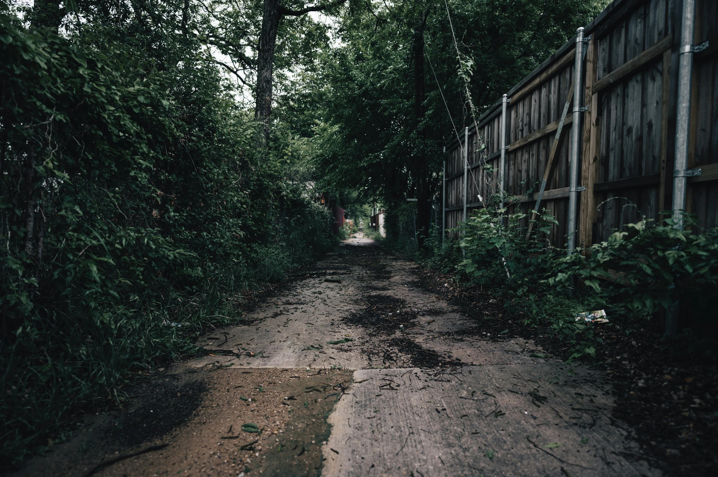 a dirty road that is lined with vines and trees