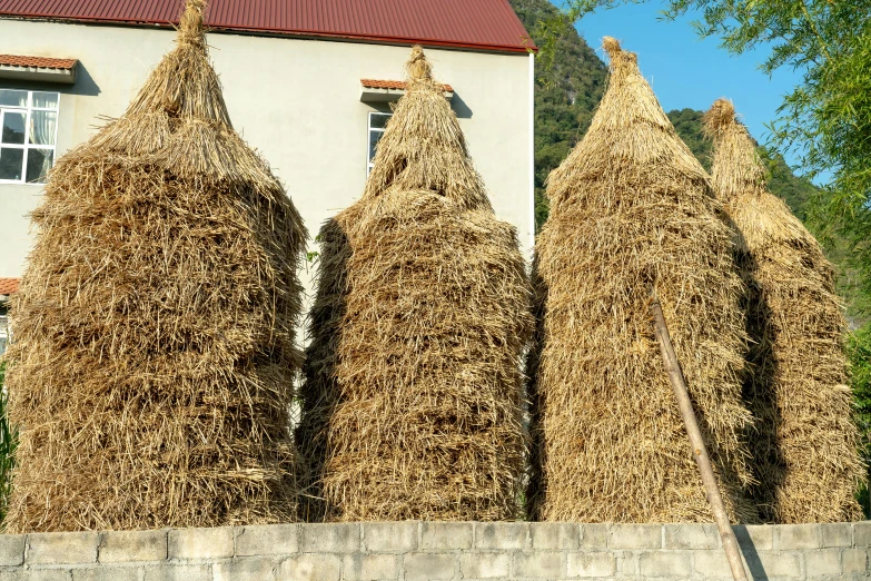 four bales of hay standing outside a building