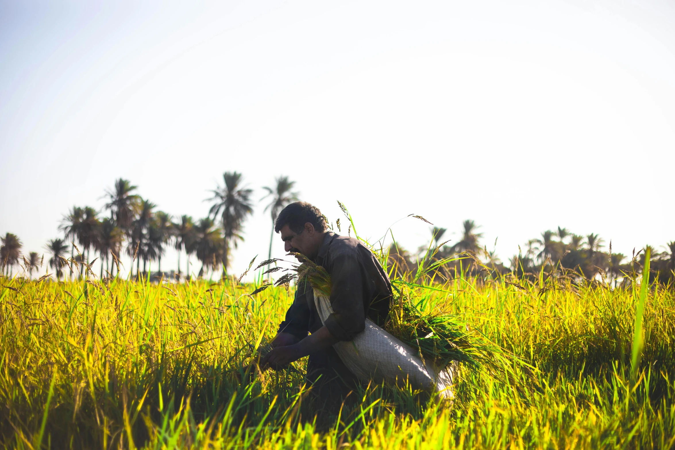 man with surfboard sitting on his knees in a field