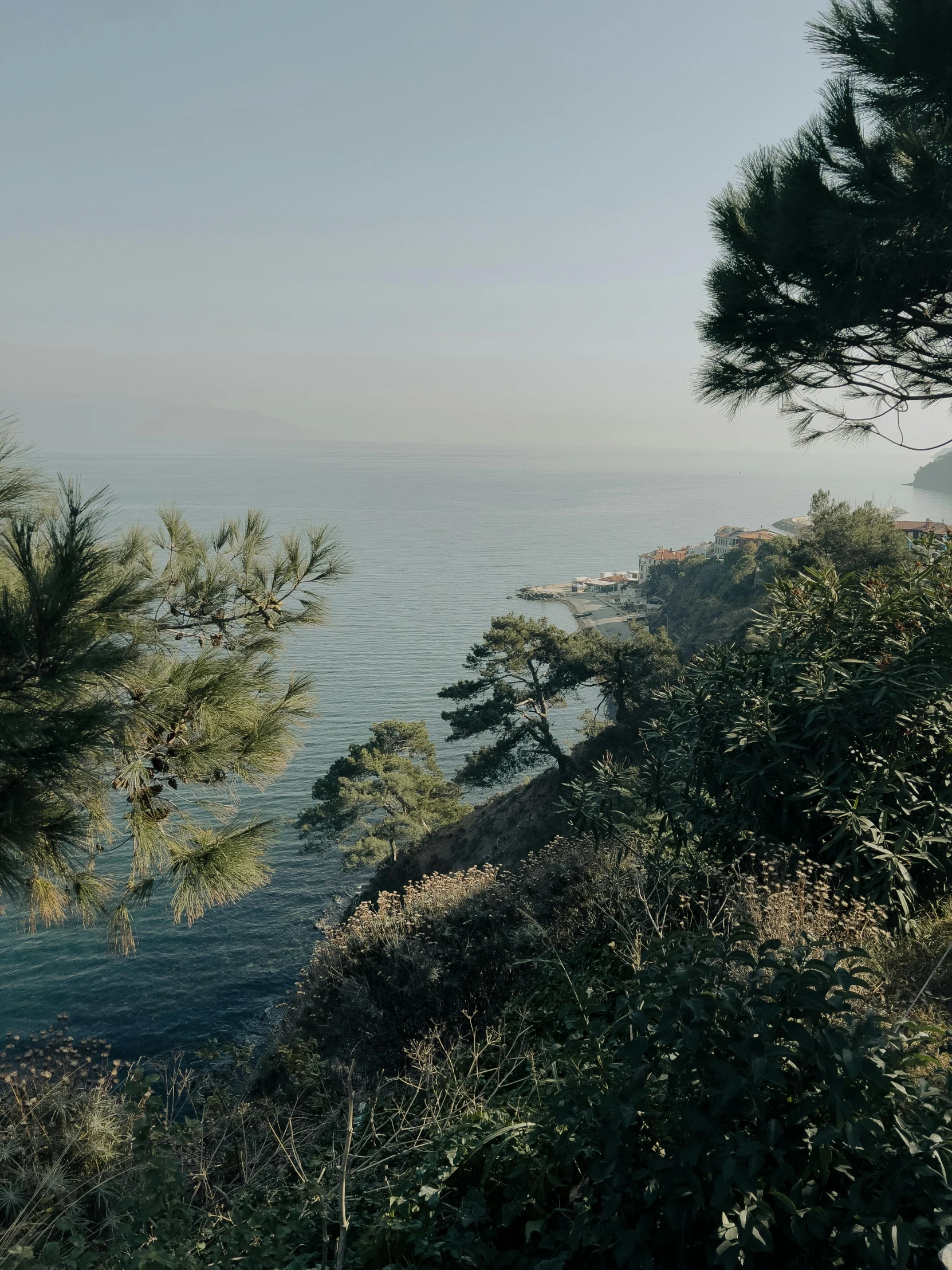 view of water from top of hillside with grass and trees