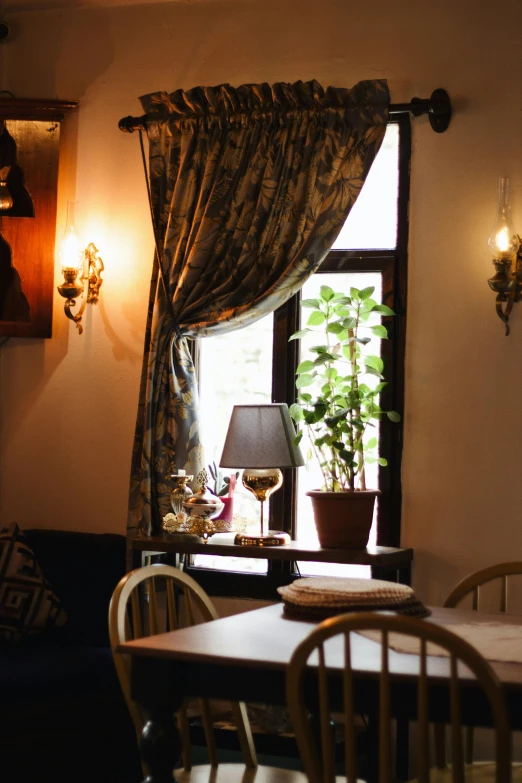 a window behind a curtain with potted plants