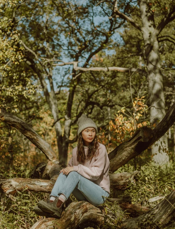 a  is sitting on a log in a forest