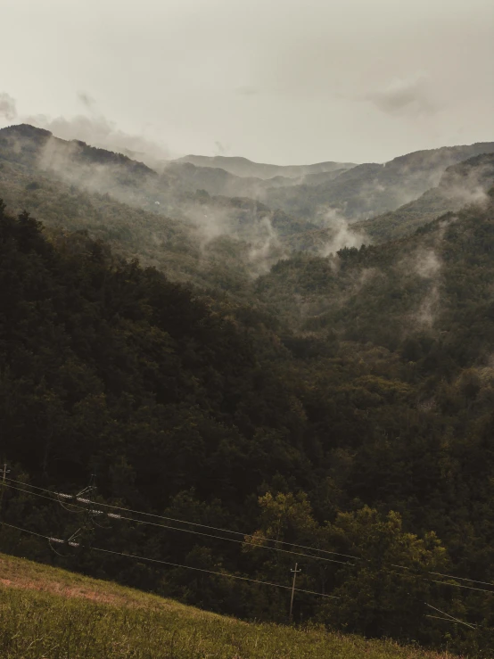 some hills and trees covered in fog in the country