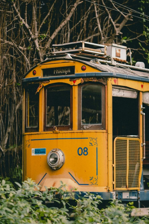 a train car sits on the tracks in a forest