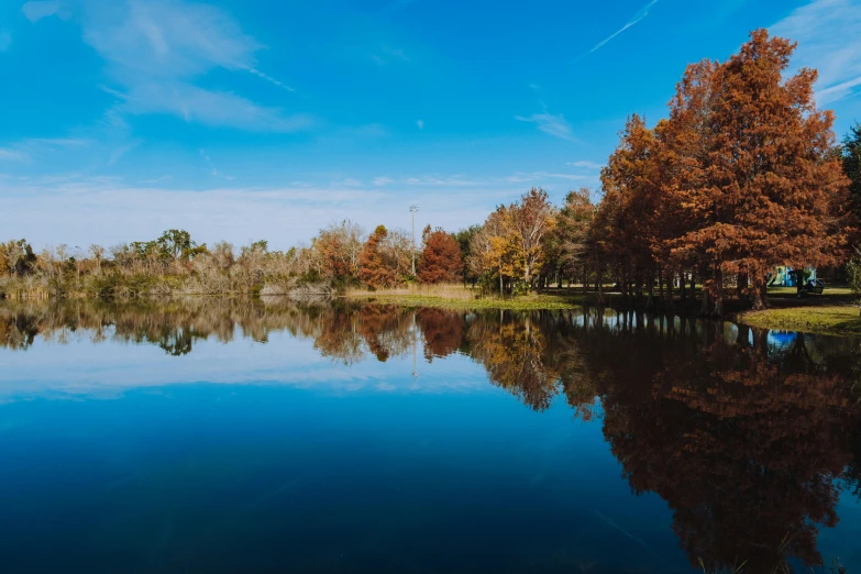 the water is almost deserted, and trees are in the foreground