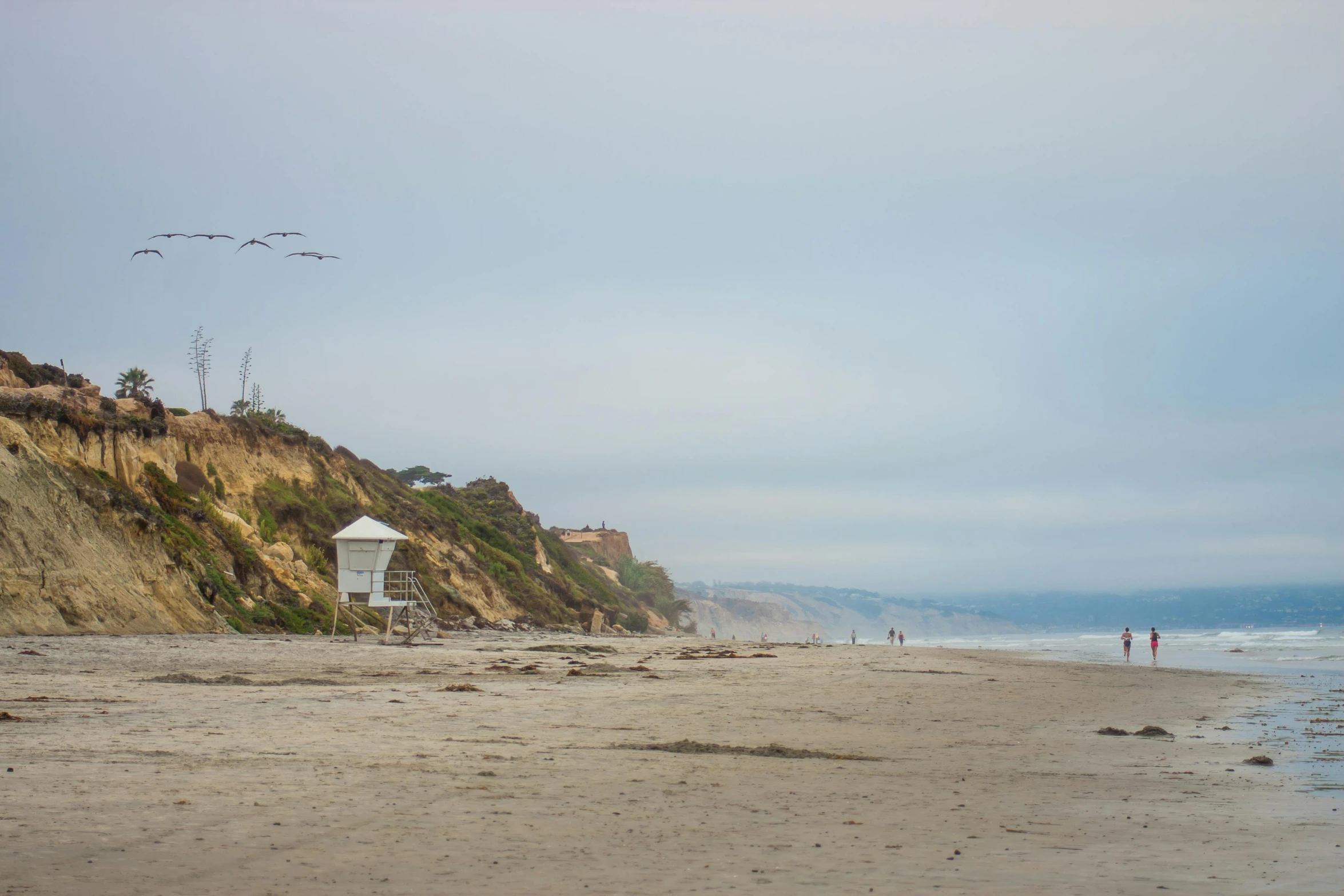 a bird flies over a rocky beach area