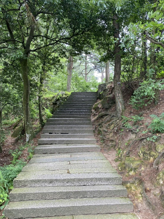 some steps to go up into the woods