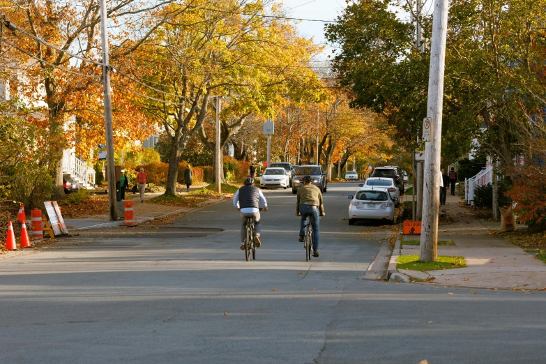 a couple of people riding bicycles down a street