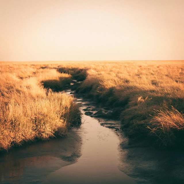 there is a stream running through the plain