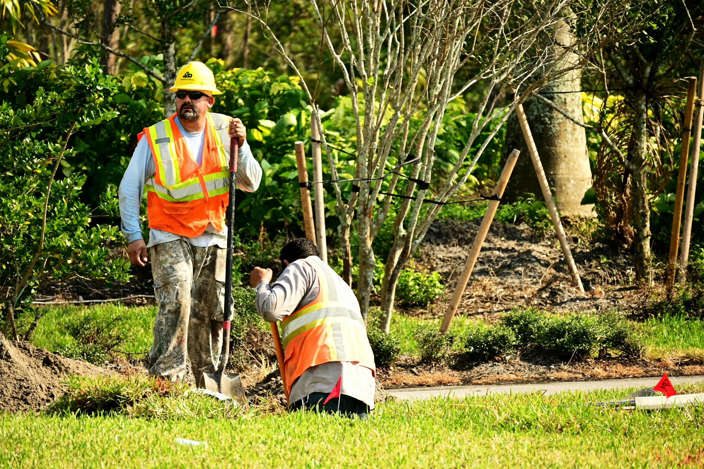 two men work together to plant shrubs and trees