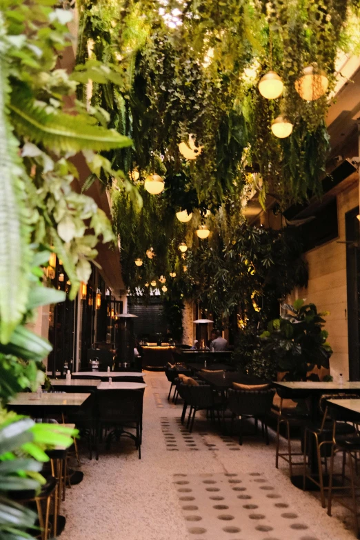 a patio covered in lots of plants next to tables