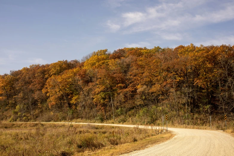 a dirt path leading into a grassy and wooded area