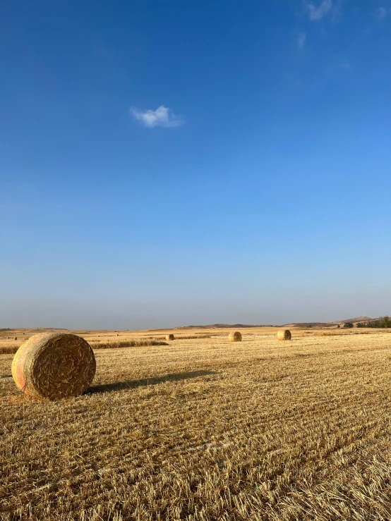 hay bales sit in the middle of a field