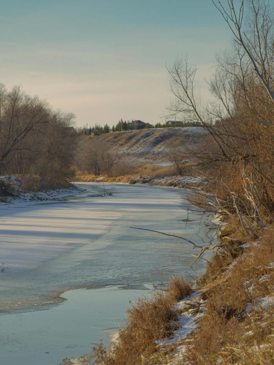 a snow covered river flows by some trees